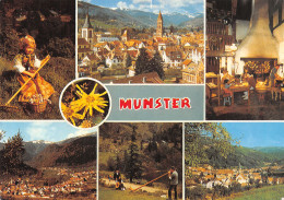 68-MUNSTER-N°4250-C/0271 - Munster