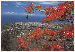 974-ILE DE LA REUNION SAINT DENIS-N°4250-C/0167 - Autres & Non Classés