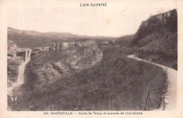 01-HAUTEVILLE-N°4250-E/0165 - Hauteville-Lompnes