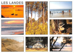 40-LES LANDES MULTIVUES-N°4250-D/0331 - Other & Unclassified