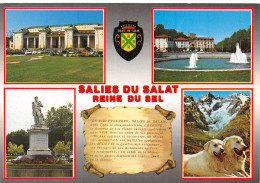 31-SALIES DU SALAT-N°4251-C/0265 - Salies-du-Salat
