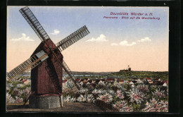 AK Werder A. H., Baumblüte, Panorama Blick Auf Die Wachtelburg U. Windmühle  - Windmills
