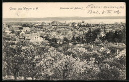 AK Werder A. H., Panorama Mit Bahnhof  - Werder