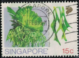 Singapour 1990 Oblitéré Used Plante Platycerium Coronarium Espèce épiphyte De Fougère Y&T SG 594 SU - Singapore (1959-...)