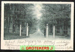 APELDOORN Koningsweg Bij Het Paleis Ca 1902 - Apeldoorn