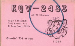 Tigre, Tiger, Tijger Sur CP De Ralph Thrailkill, El Paso, Texas, USA, 1968 - Tigers