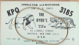 Tigre & Lion, Tiger & Lion, Tijger & Leeuw Sur CP De Buffalo, New York, USA, 1968 - Tigres