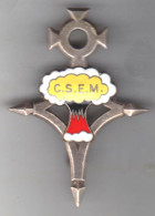 CSEM. Centre Saharien D'Expérimentations Militaires.  émail Grand Feu. Courtois.1676. - Army