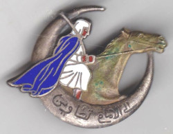 Makhzen Du Sud Tunisien. Inscription En Arabe. Drago. - Armée De Terre