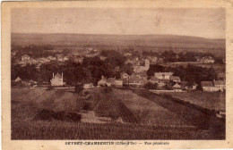 Gevrey Chambertin Vue Generale - Gevrey Chambertin