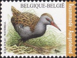 4671** - Râle D'eau / Water Rammelaar - BUZIN - BELGIQUE / BELGIË / BELGIEN - RECOMMANDÉ / AANGETEKEND - 1985-.. Uccelli (Buzin)