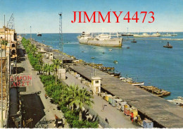 CPM - PORT SAID - Harbour - Le Port - EGYPTE - - Port-Saïd