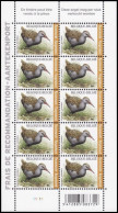 4671** PLANCHE I - Râle D'eau / Water Rammelaar - BUZIN - BELGIQUE / BELGIË / BELGIEN - RECOMMANDÉ / AANGETEKEND - 1985-.. Birds (Buzin)