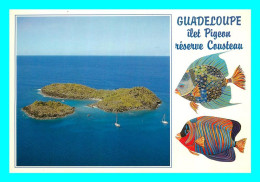 A771 / 313 GUADELOUPE Ilet Pigeon - Autres & Non Classés