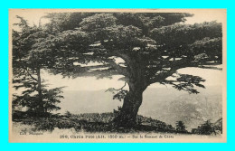 A773 / 349 Algerie Chréa L'été Sur Le Sommet De Chréa ( Arbre ) - Andere & Zonder Classificatie