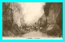 A780 / 069 89 - APPOIGNY Les Rochers - Appoigny