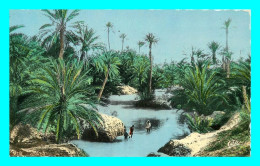 A792 / 449 SCENES Et TYPES Un Oued Dans L'Oasis - Scene & Tipi