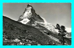 A799 / 165 Suisse ZERMATT Matterhorn - Matt