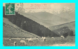 A801 / 175 65 - COL D'ASPIN Paturages Et Pic Du Midi ( Mouton ) - Andere & Zonder Classificatie