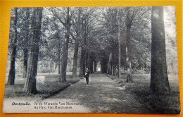 OOSTMALLE  - In De Warande Van Merstraeten  - Au Parc Van Merstraeten  -  1920 - Malle