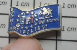 1616B Pin's Pins / Beau Et Rare / VILLES / DRAPEAU EUROPE SOPHIA ANTIPOLIS EFT LICORNE WELLCOME (sic) - Villes