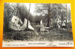 OOSTMALLE  - Ruine In De Kozakkendreef -  1906 - Malle