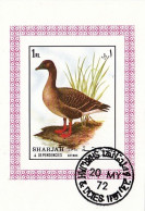 SHARJAH 1188,used - Ducks