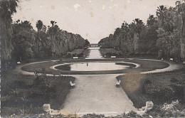 X9458 AFRIQUE DU NORD ALGERIE ALGER JARDIN D' ESSAI EN 1954 - Alger