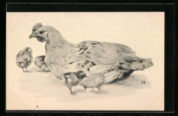 AK Sitzendes Huhn Mit Kükenschar  - Birds