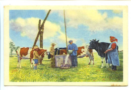 Image 12 X 7.8 Belgique Folklore Belge Belgische Folklore KOERSEL (près De Hasselt) L'abreuvoir De Campagne  * - Côte D'Or