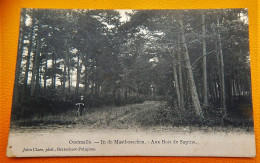 OOSTMALLE  - In De Mastbosschen - Aux Bois De Sapins   -  1908 - Malle