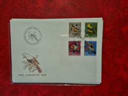 Lettre SUISSE  1969 BERN FDC PRO JUVENTUTE OISEAUX - Sonstige & Ohne Zuordnung