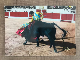 Une Passe De La Droite DERECHAZO Par Le Bas. Toréro : PAQUIRRI - Corrida