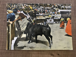 LA CORRIDA Le Picador N'est Pas Toujours Le Maitre... Ici Le Taureau Marque Un Point - Corridas