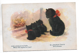 Illustrateur  Comique Serie N 2471 Famille Chats En Attendant L Heure De La Soupe  Ecrite N0172 - 1900-1949
