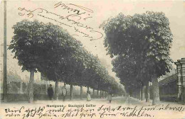 91 - Montgeron - Boulevard Sellier - Animé - CPA - Voir Scans Recto-Verso - Montgeron