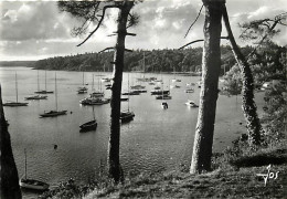 29 - Bénodet - L'Odet - Le Port Des Yachts à L'abri Des Bois De Pins Près De Bénodet - Mention Photographie Véritable -  - Bénodet