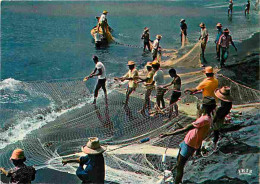 Martinique - Pêche à La Seyne - CPM - Voir Scans Recto-Verso - Autres & Non Classés