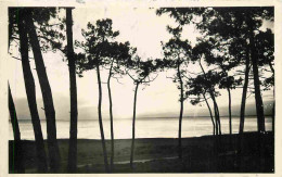 17 - Marennes - Coucher De Soleil Sur La Plage - CPSM Format CPA - Voir Scans Recto-Verso - Marennes