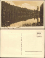 Ansichtskarte Braunlage Partie Am Silberteich - Fotokarte 1941 - Braunlage