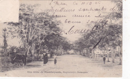 QT -  DAHOMEY ( West African Kingdom ) - Zagnanavo, Une Allée De Flamboyants - 1906 - Dahomey