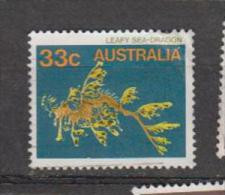 Australie YV 899 O 1984 Hippocampe - Peces