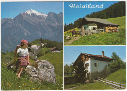 Heidiland Mit Falknis, Heidialp, Heidihaus - (Schweiz/Suisse/Switzerland) - Chèvre/Goat/Geit - Bad Ragaz