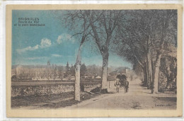 D 83 BRIGNOLES.  ROUTE DU VAL  ATTELAGE. CARTE ECRITE - Brignoles