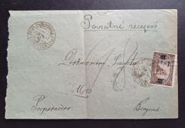 Yugoslavia Kingdom ,  Serbia 1924  R Letter With Stamp SUBOTICA (No 3090) - Briefe U. Dokumente