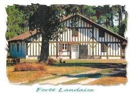 40.  FORET LANDAISE . - Dax