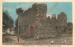 42.  PELUSSIN .  Les Ruines Du Château De La Valette . - Pelussin