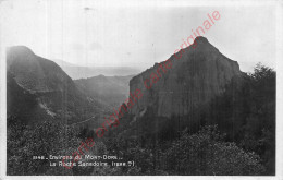 63.  LA ROCHE SANADOIRE .  Environs Du MOnt Dore ; - Non Classés