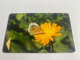 - 2 - Belarus Chip Yellow Butterfly - Belarus
