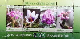 Türkiye 2010, International Year Of Biodiversity, MNH S/S - Nuovi